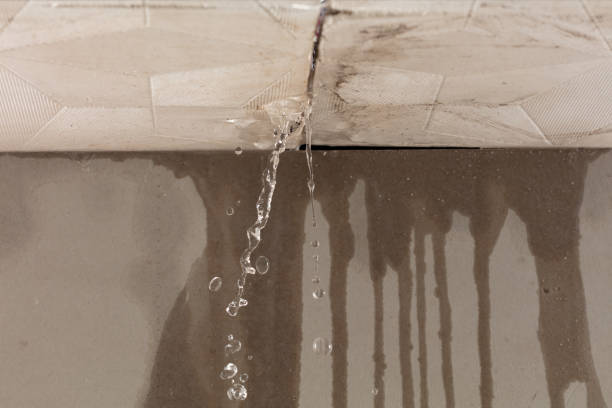 Professional Water Damage Inspection technician working in Unionville, TN